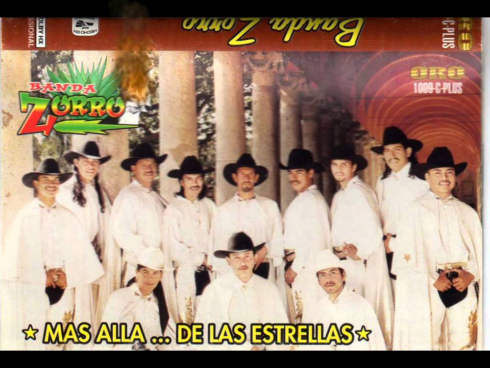 BANDA ZORRO CAMINANDO EN LA PLAYA