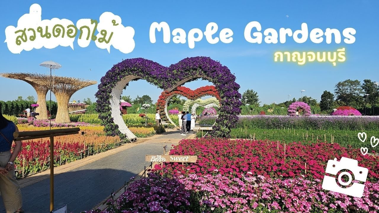 สวนดอกไม้ Maple Gardens กาญจนบุรี