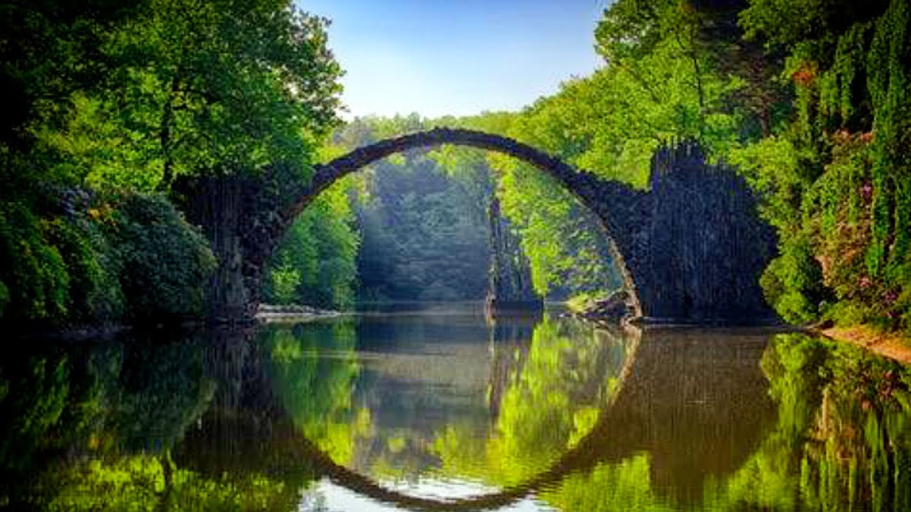 Most Beautiful Forests in the World | Beauty of the World
