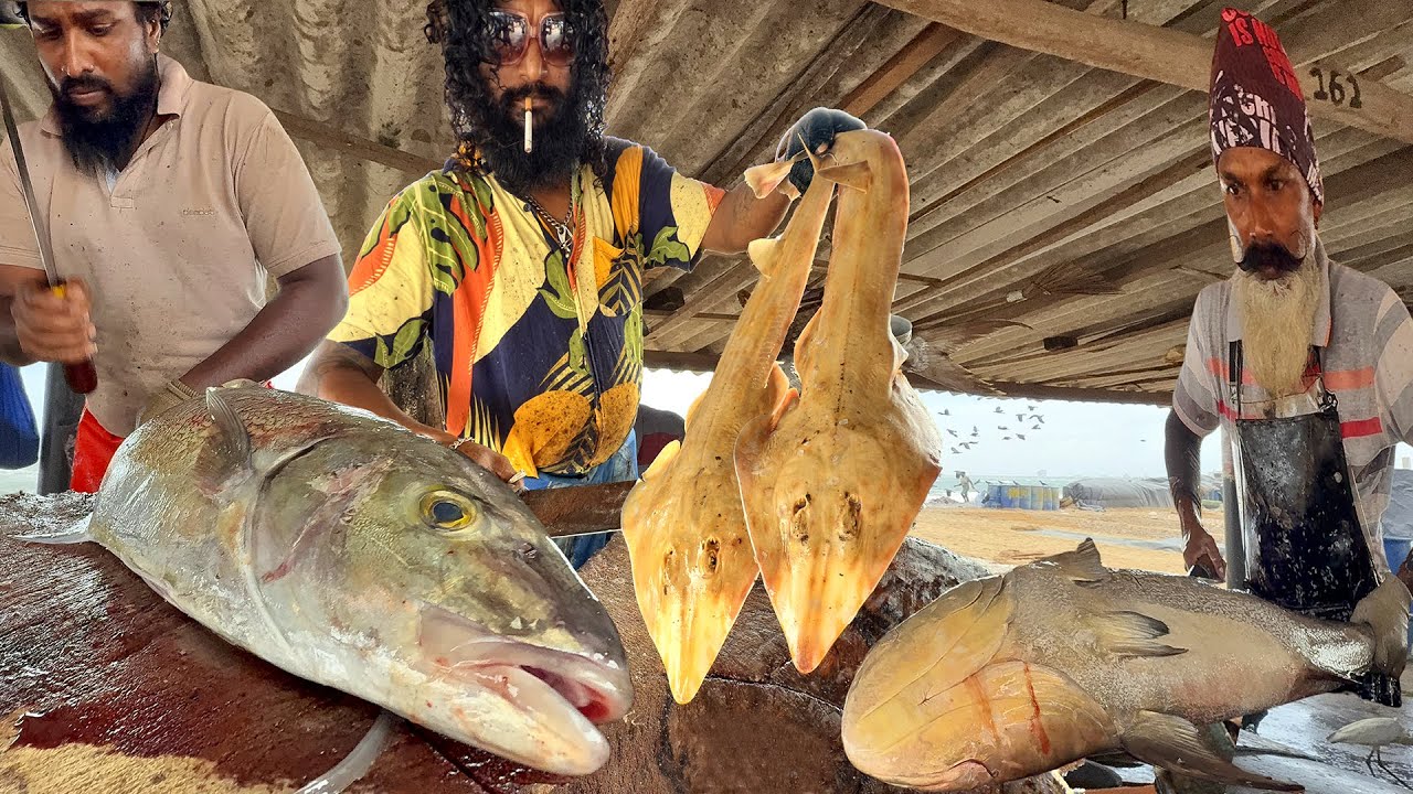 Master Fish Cutters Unite! Giant Tuna & Shark Cutting Show in Coastal Fish Market