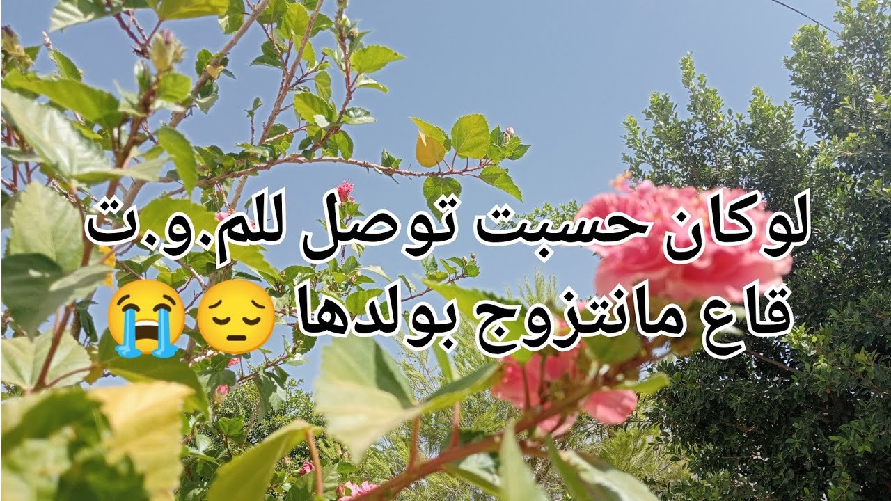 لوكان حسبت توصل للمـ.و.ت قاع مانتزوج بولدها 😔😭