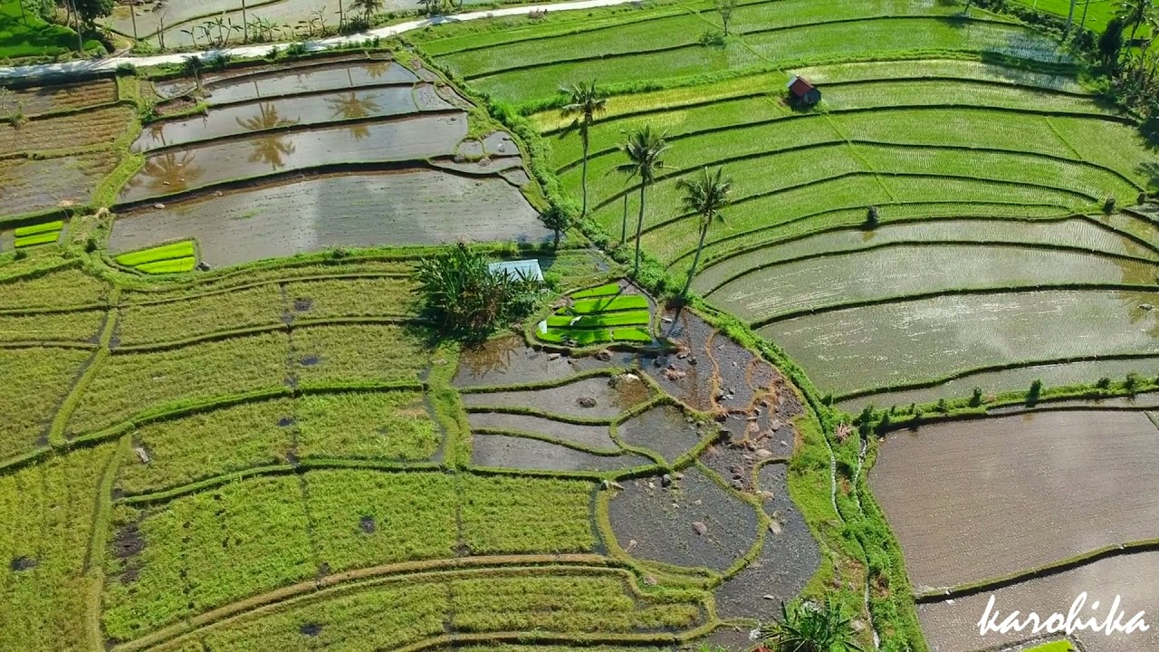 Bali Pulau Surga~Paradise Island, Bali Bangkit Kembali
