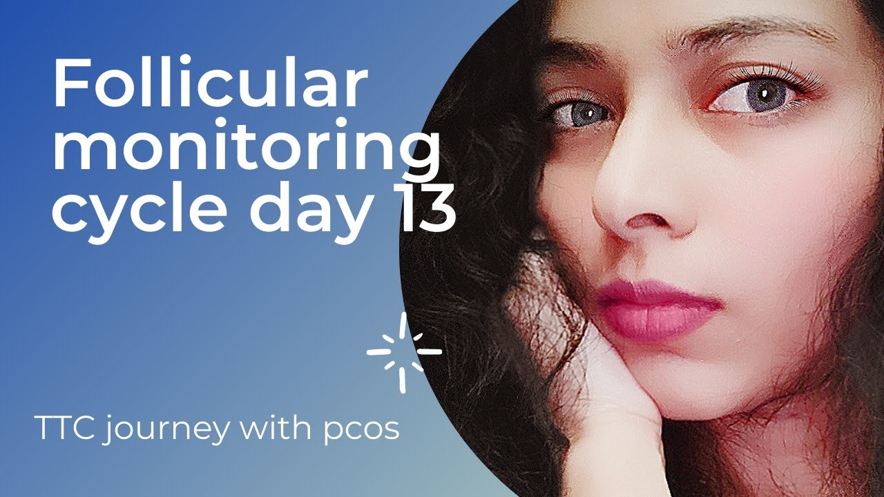 Letrozole cycle 1cycle day 13 Ultrasound Results. My TTC Journey follicular monitoring folical study