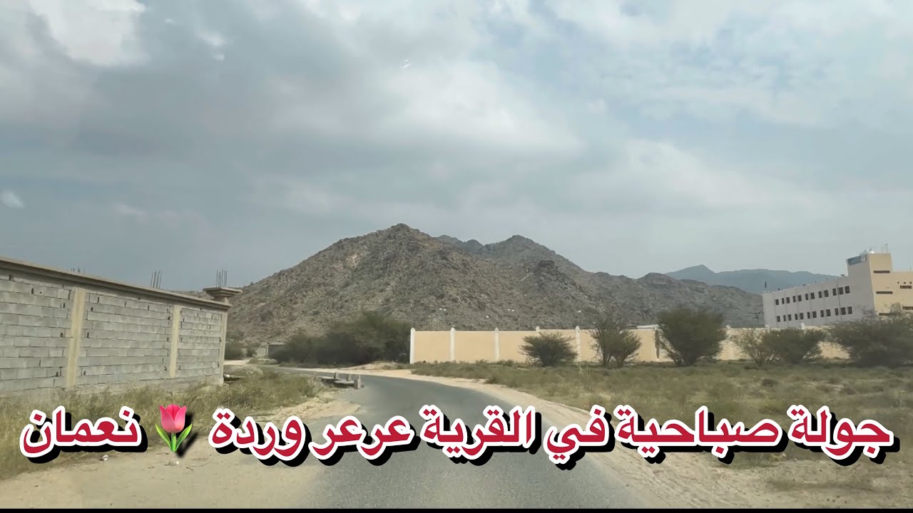 أجواء مميزة في وادي  نعمان  القريبةعرعر ورده نعمان في  مكة المكرمة الطريق الطائف