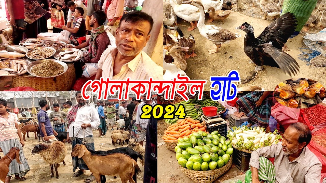 নারায়ণগঞ্জের সবচেয়ে বড় জমজমাট গোলাকান্দাইল হাট | Hat Bazar Golakandail 2024