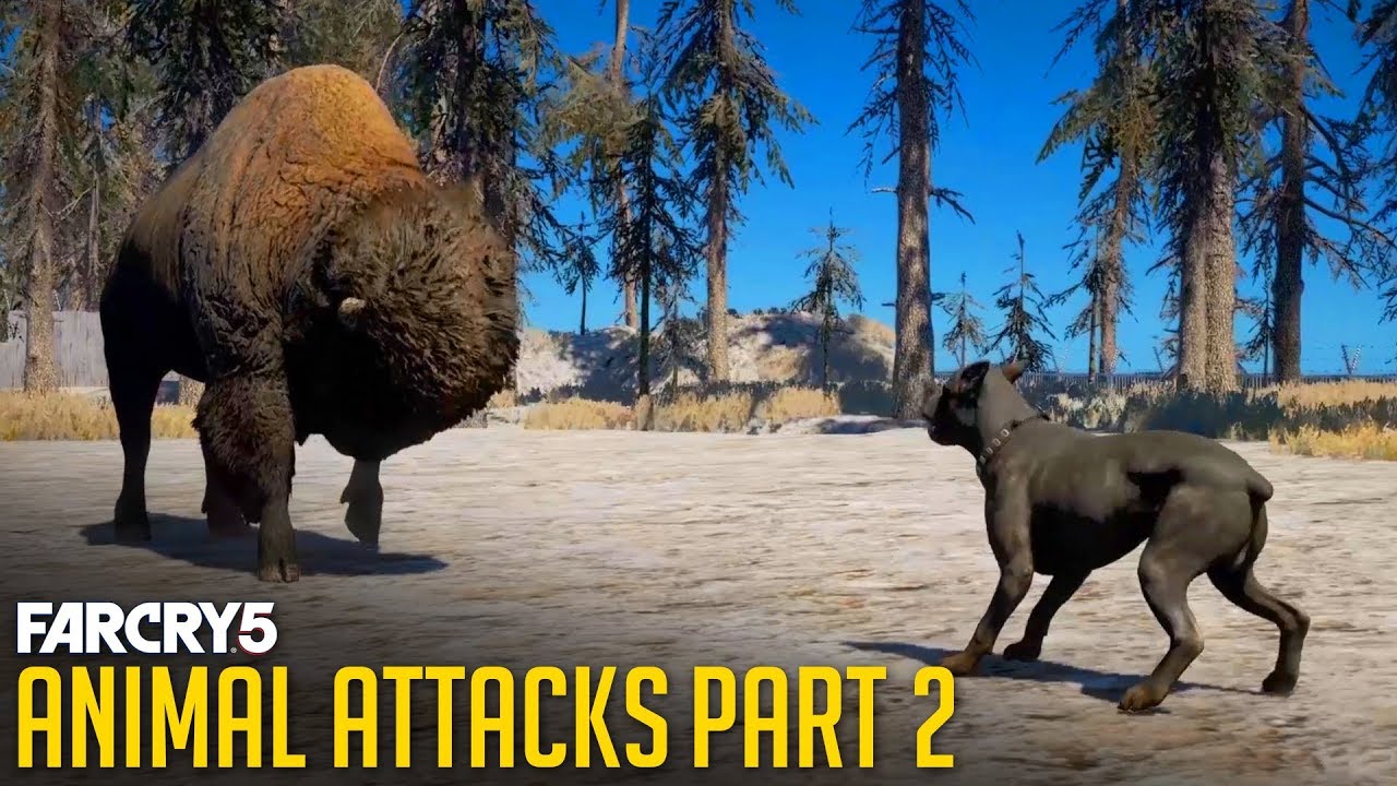 All Animal Attacks on Dogs (Animal Attacks Part 2) Animals VS Dogs - FAR CRY 5