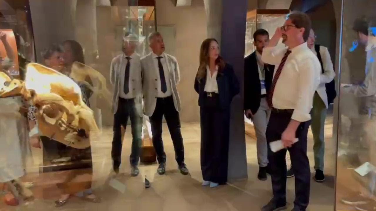 Padova, alla scoperta del nuovo museo della Natura e dell'Uomo di Palazzo Cavalli