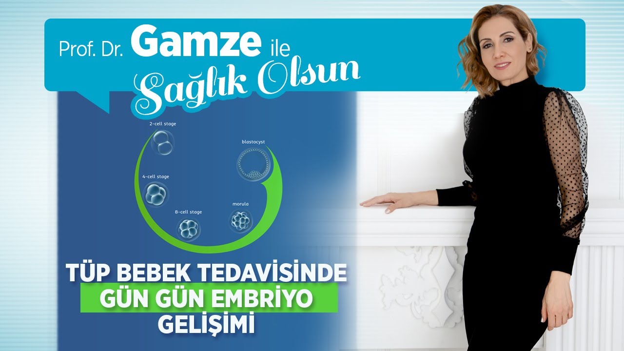 Embriyo Gelişiminin Yavaşlaması veya Durması Neden Olur? Gün Gün Embriyo Gelişimi