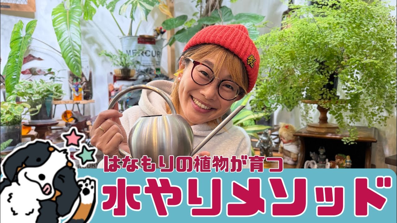 観葉植物が育つ水やりメソッド✨潤流解説✨