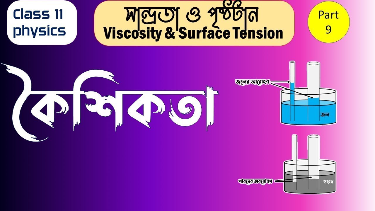 Capillarity in Fluid Mechanics in Bangla | Viscosity and Surface Tension Class 11 in Bengali part 9