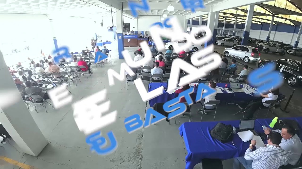 LOS SUBASTADORES - Conoce el mundo de las subastas