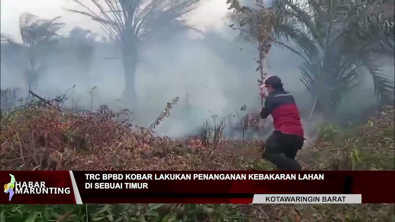 TRC BPBD KOBAR LAKUKAN PENANGANAN KEBAKARAN LAHAN DI SEBUAI TIMUR