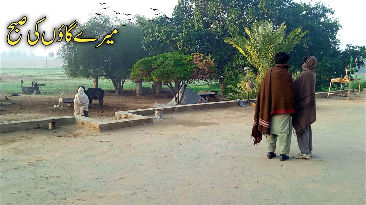 my morning routine | Pakistan village life | summer morning 🌄