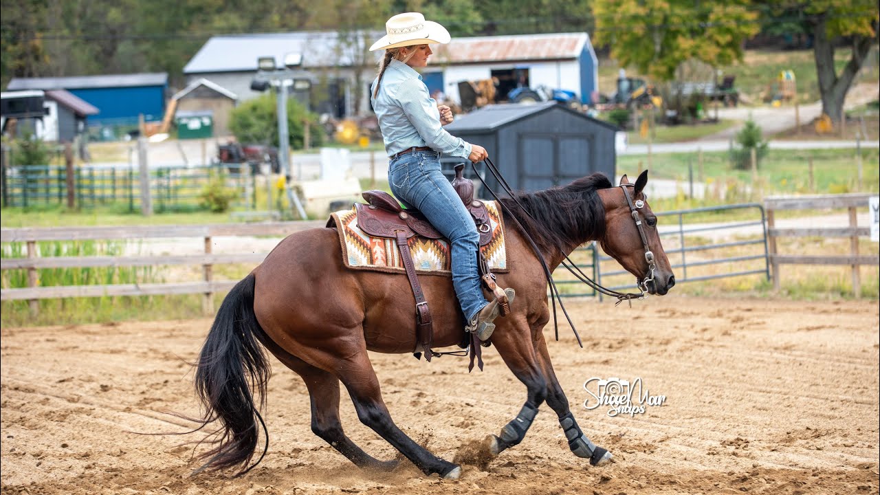 GURDIE - KRS Training Horse