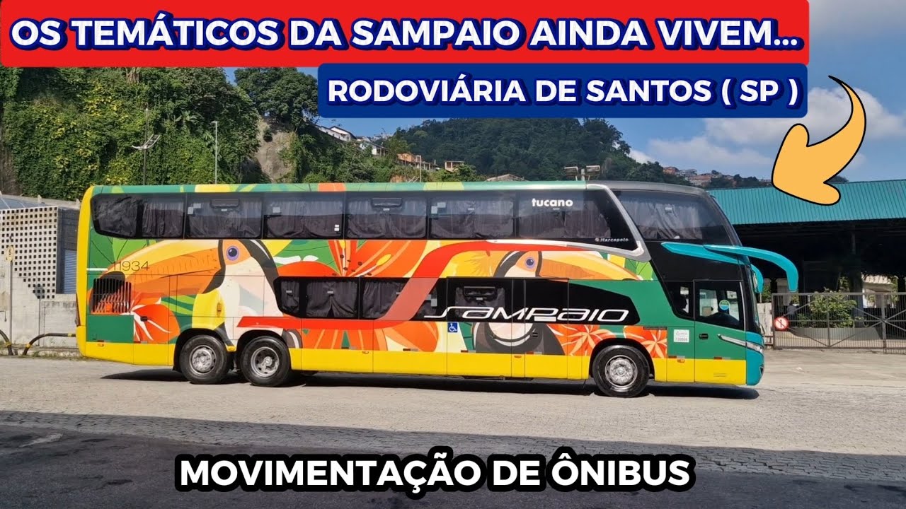 MOVIMENTO DE ÔNIBUS NO TERMINAL RODOVIÁRIO DE SANTOS ( SP )
