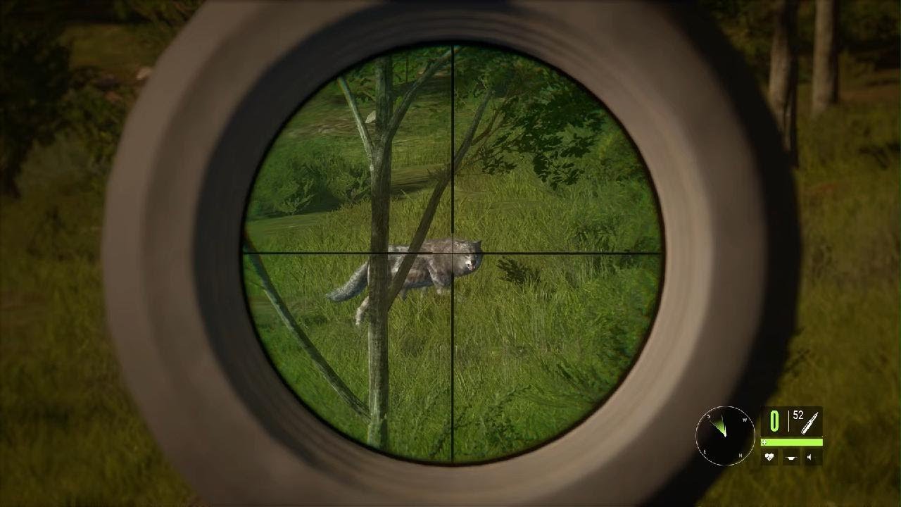 theHunter: Call of the Wild_20260115144923