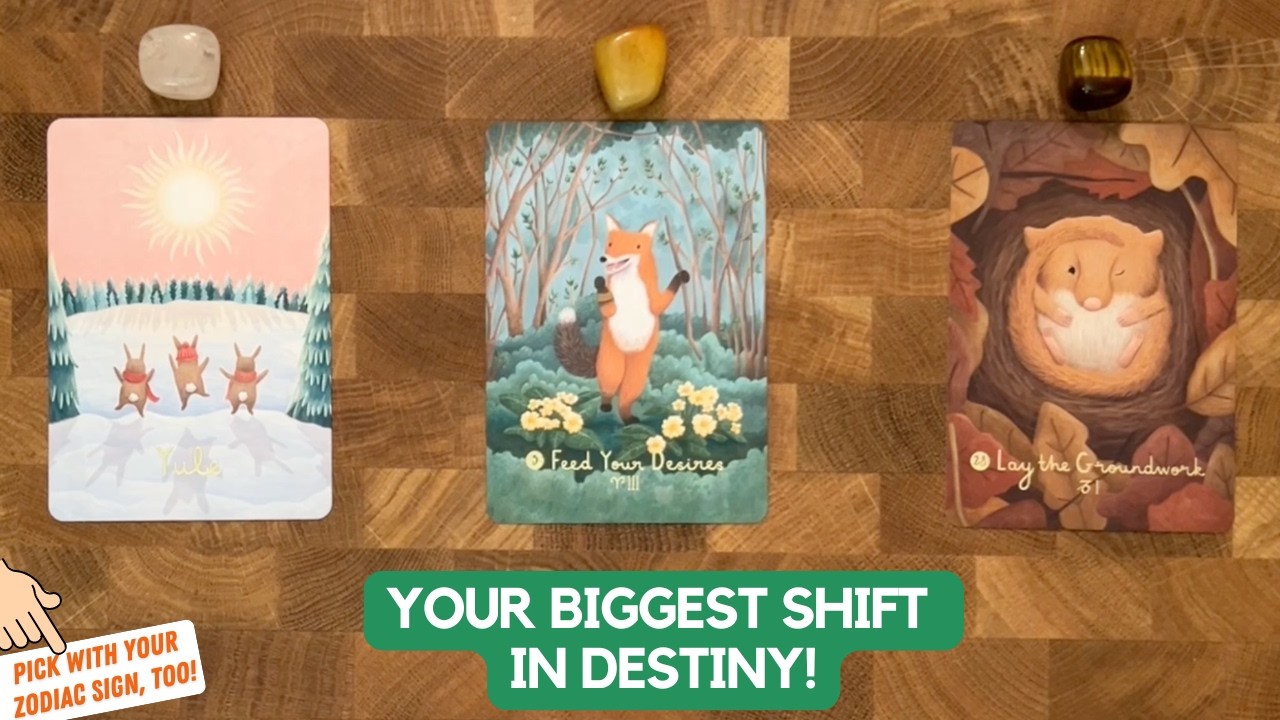 Your Biggest Shift In Destiny! 🔁 ✨ | Timeless Reading