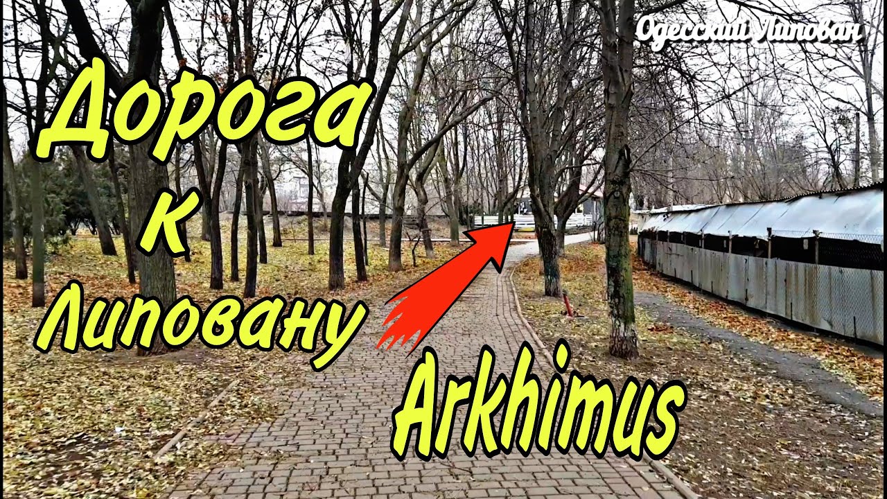 Как добраться в ресторан/ Arkhimus/ ОДЕССА/  Бюджетно и красиво отдохнуть/ поесть рыбу # 129