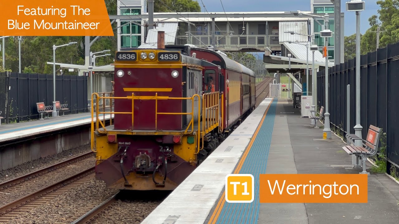 Transport for Sydney Vlog 381: Werrington Trainspotting - Featuring The Blue Mountaineer