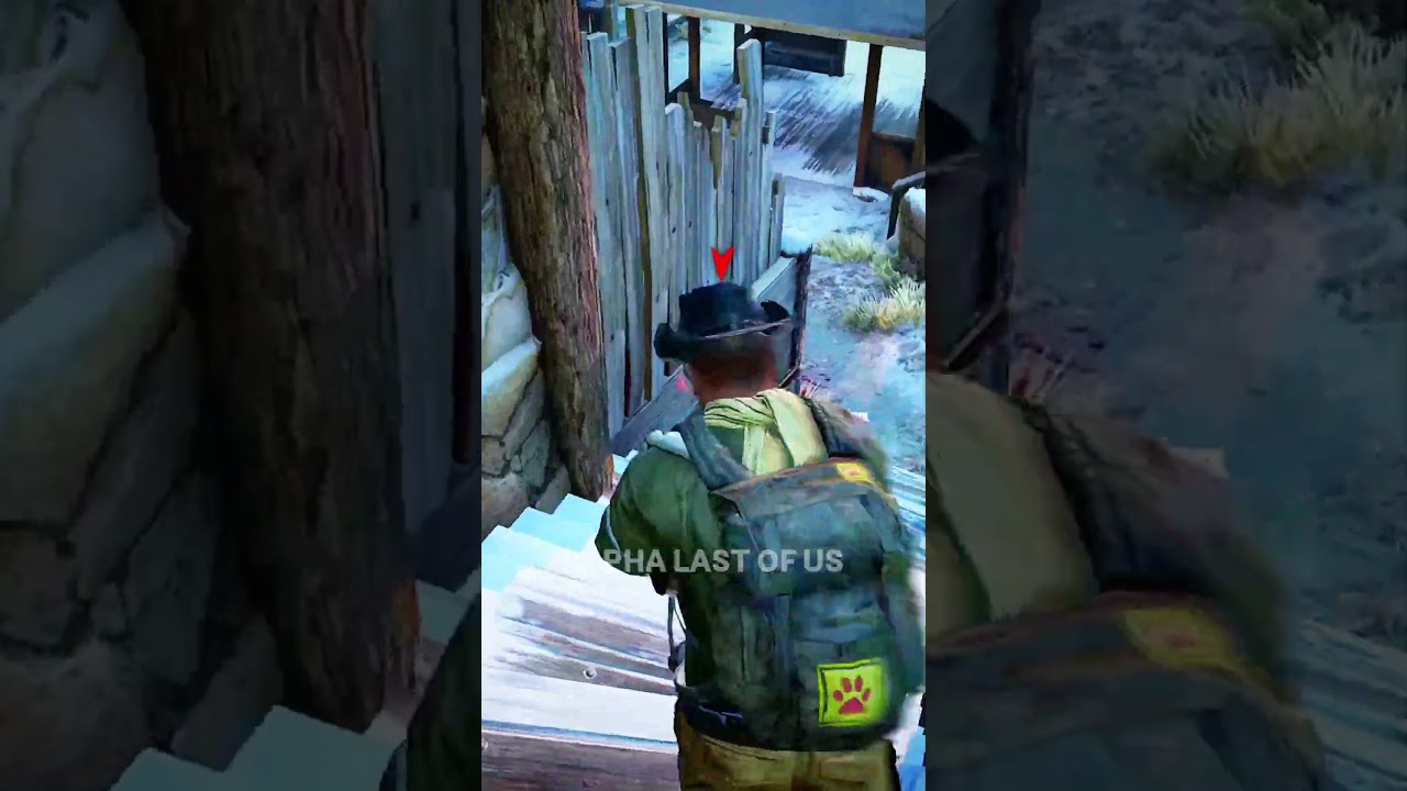 The Last Of Us Multiplayer