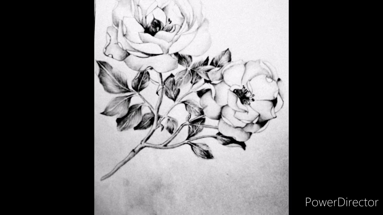 CELIA BENDEZU &eacute;l cielo esta nublado