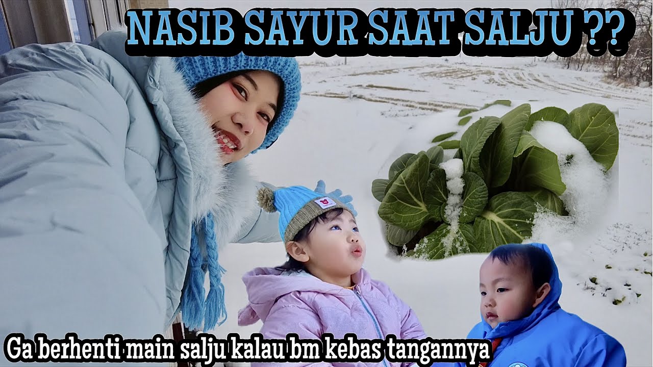 PENASARAN SAYURAN KALAU SALJU TURUN ? ANAK ANAK GA BERHENTI MAIN SALJU KALAU G SAKIT TANGANNYa