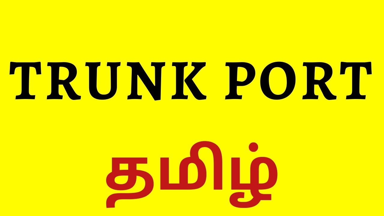 TRUNK PORT in TAMIL || Explained Concept & Configuration || CCNA Tamil