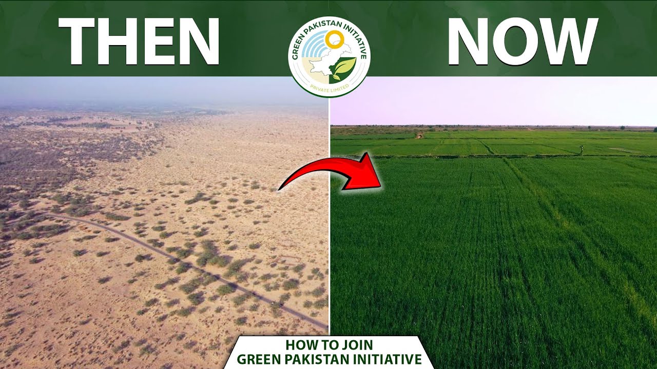 Barren Land to Green Fields | Cholistan Thal Desert Agriculture