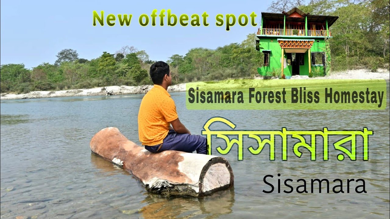 নদীর ধারে , গভীর জঙ্গলের মুখোমুখি এই হোমস্টে~ Offbeat dooars || North Bengal tour plan ||  Toptours