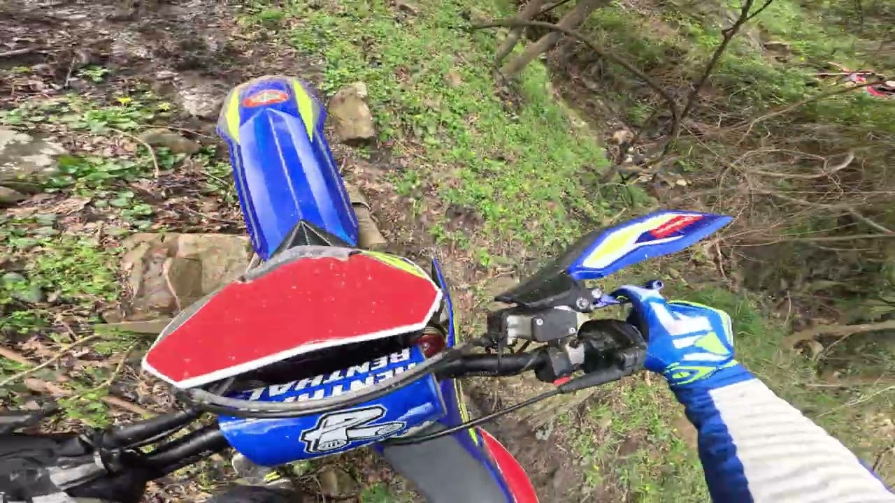 08.03.2026 tolfa - enduro soft ( che bello uscire col SENIOR )