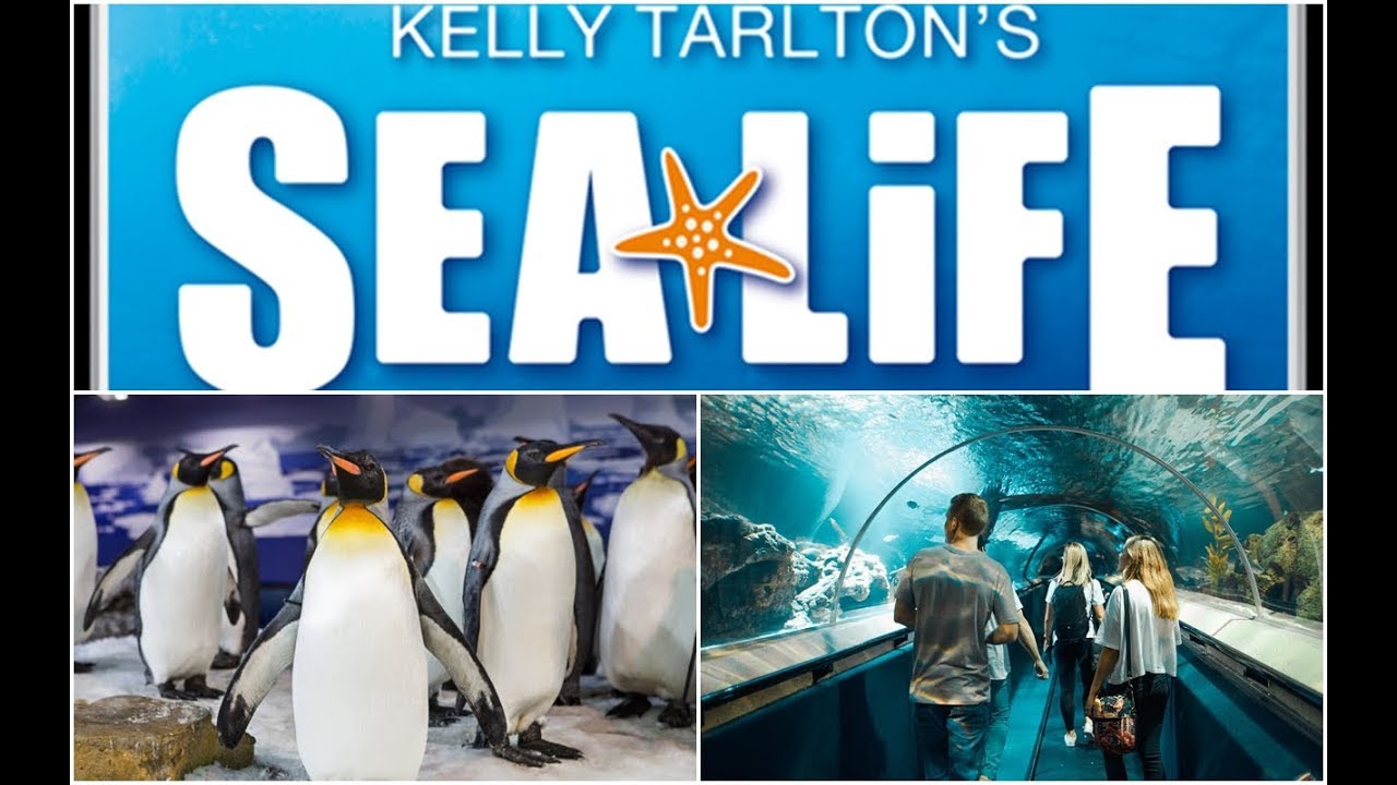Kelly Tarltons Sealife, Auckland, New Zealand
