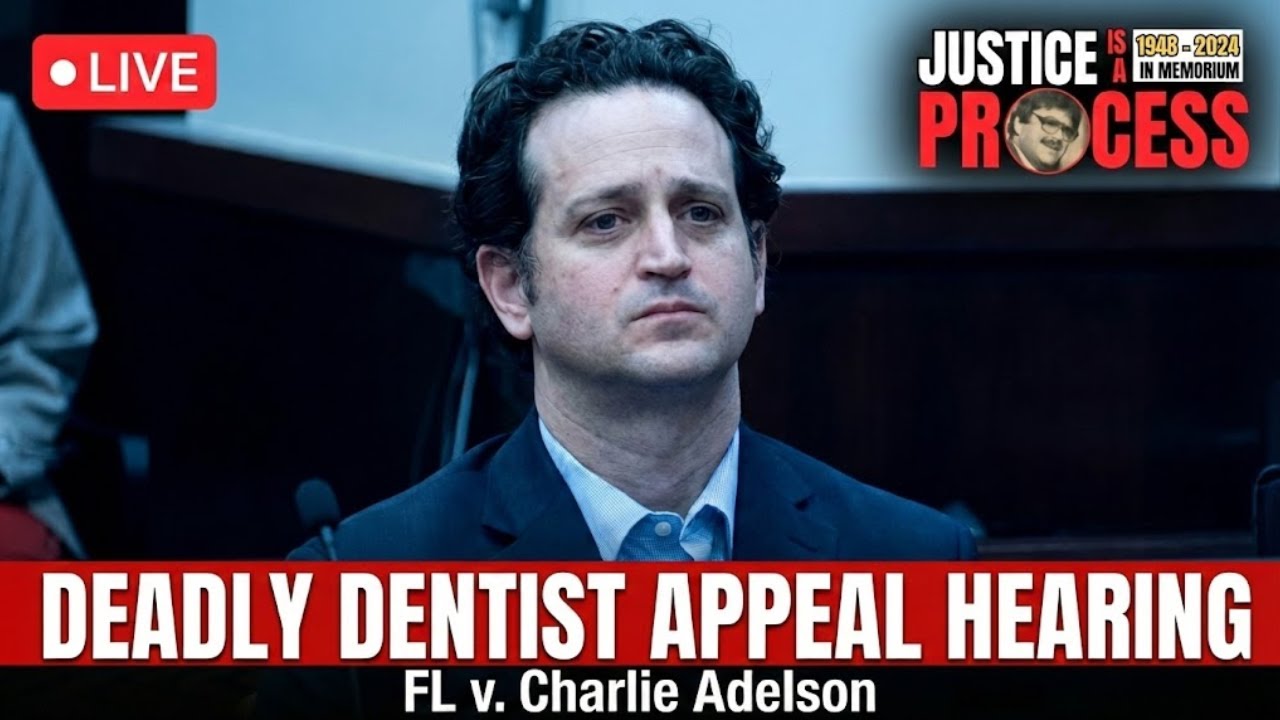 🏛️ LIVE: Charlie Adelson Appeal Hearing — Florida's 1st District Court of Appeal