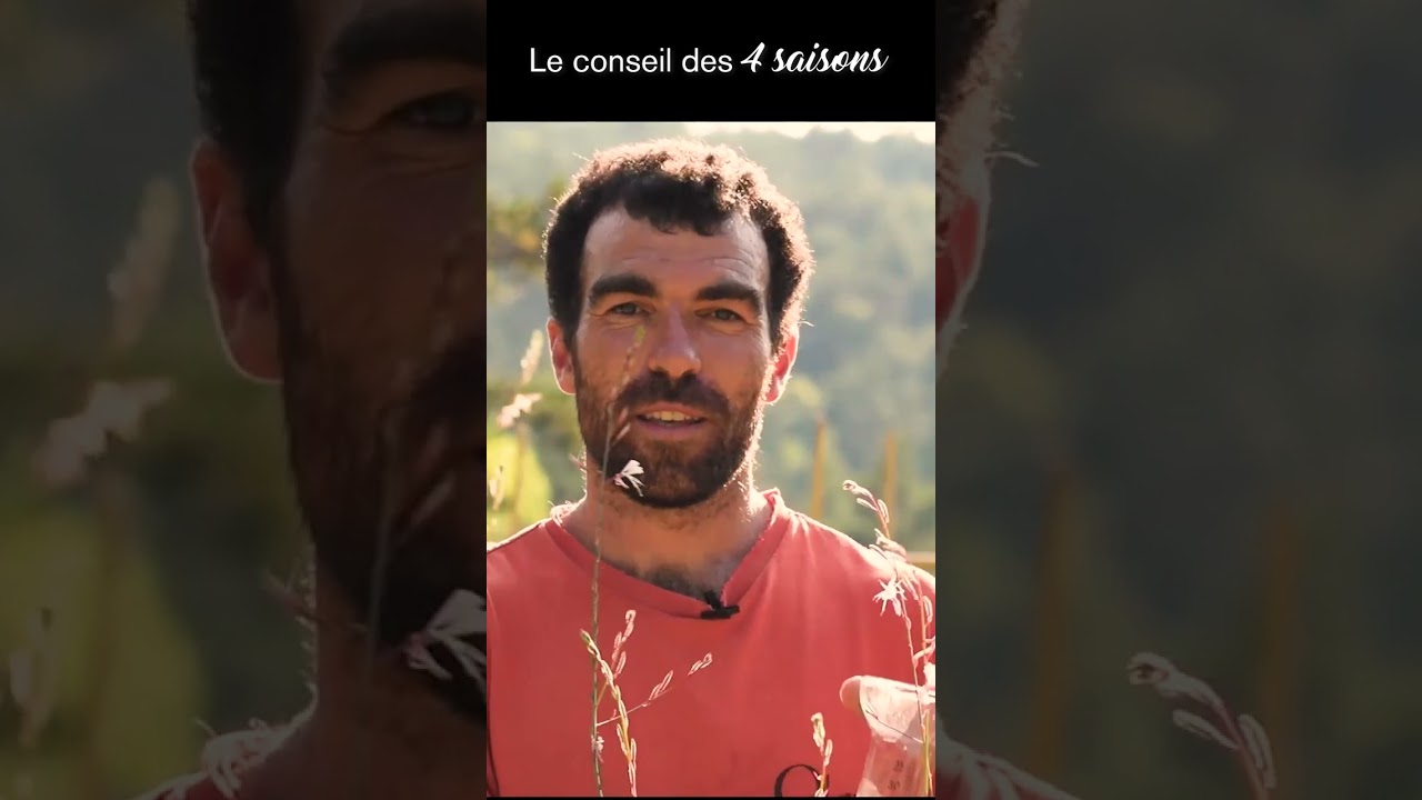 Pourquoi avoir un pluviom&egrave;tre dans son jardin ? Conseil des 4 saisons  #potager #eau