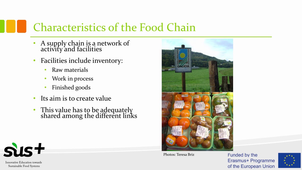 From Farm to Fork – Food Value Chain Analysis