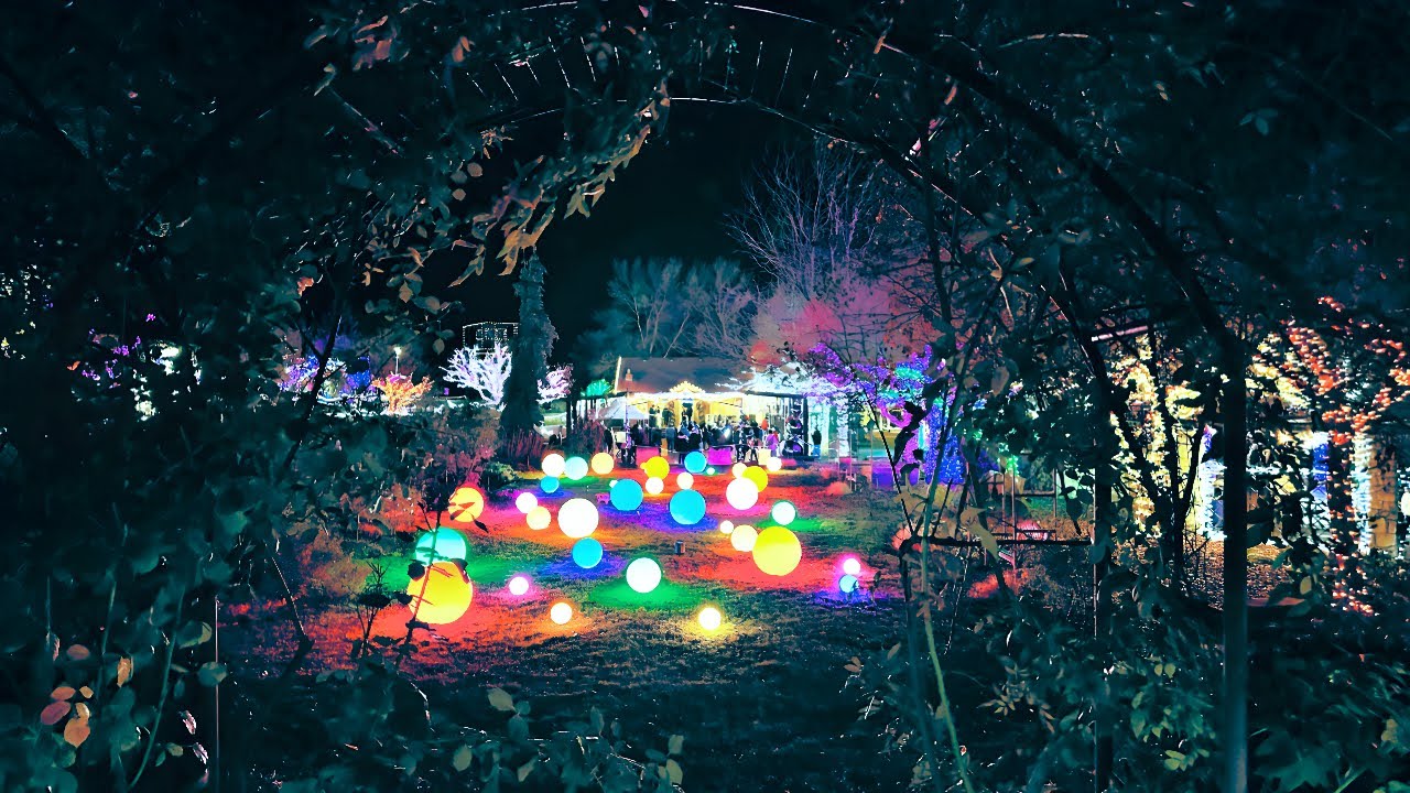 Idaho Botanical Garden | Winter Garden aGlow