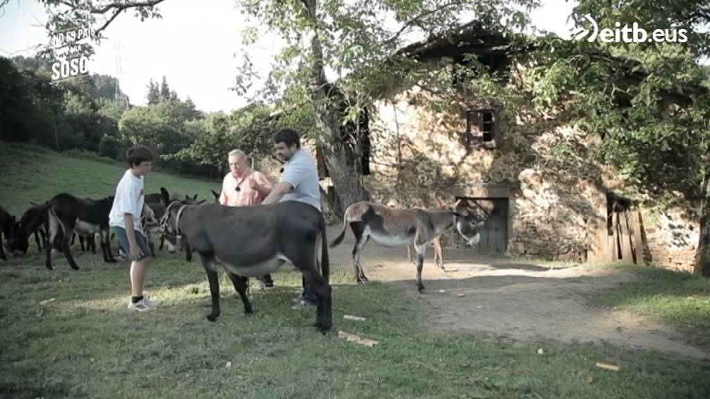 Paseo en burro en el caserío Arteaga