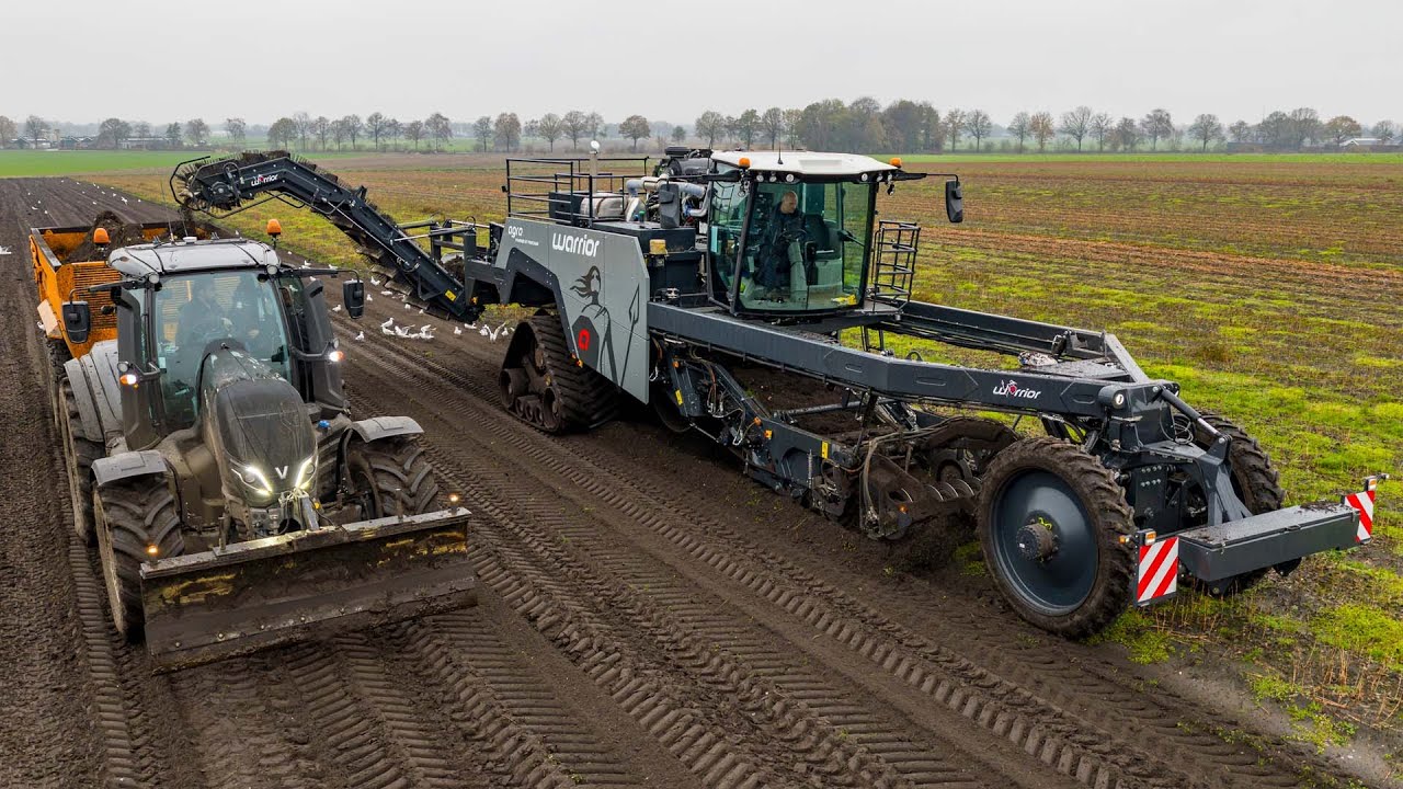 Graafstra Agra Warrior - World premiere | Lilly bulb harvest | New harvester brand