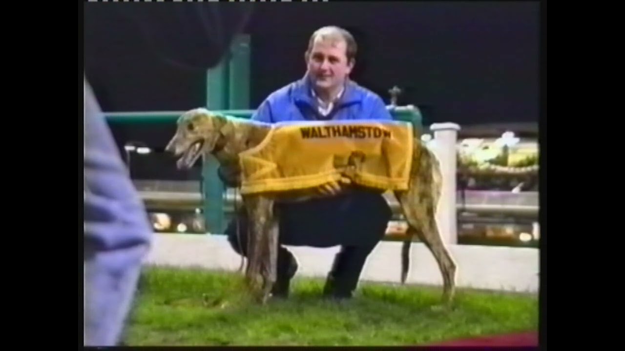 1991 GREAT RACES