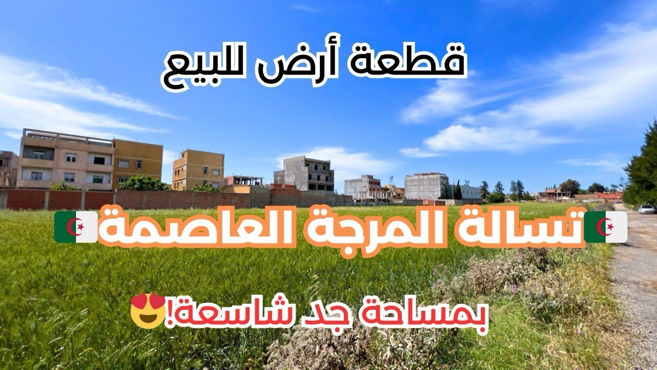 🚨#قطعة أرض _للبيع في تسالة المرجة ولاية الجزائر 🇩🇿  رقم صاحب العقار: 0552856156 / 0659904813📞