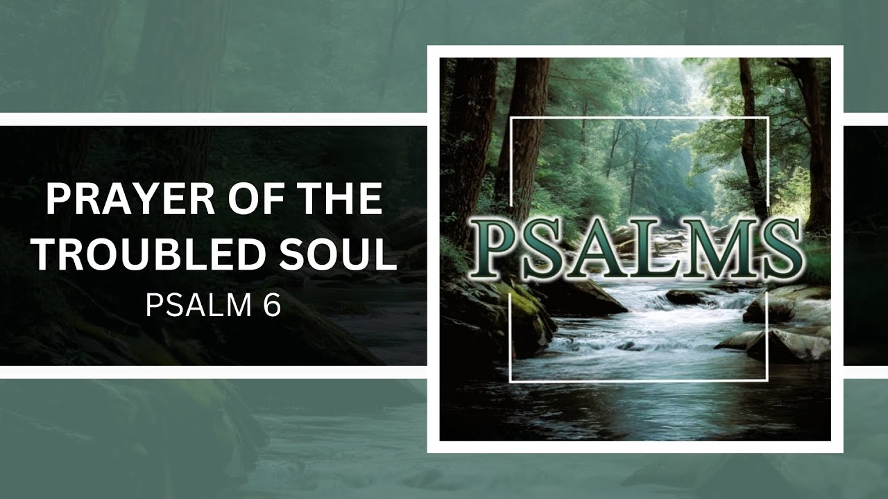 Psalm 6 | Prayer of the Troubled Soul | Pastor Andy Craig