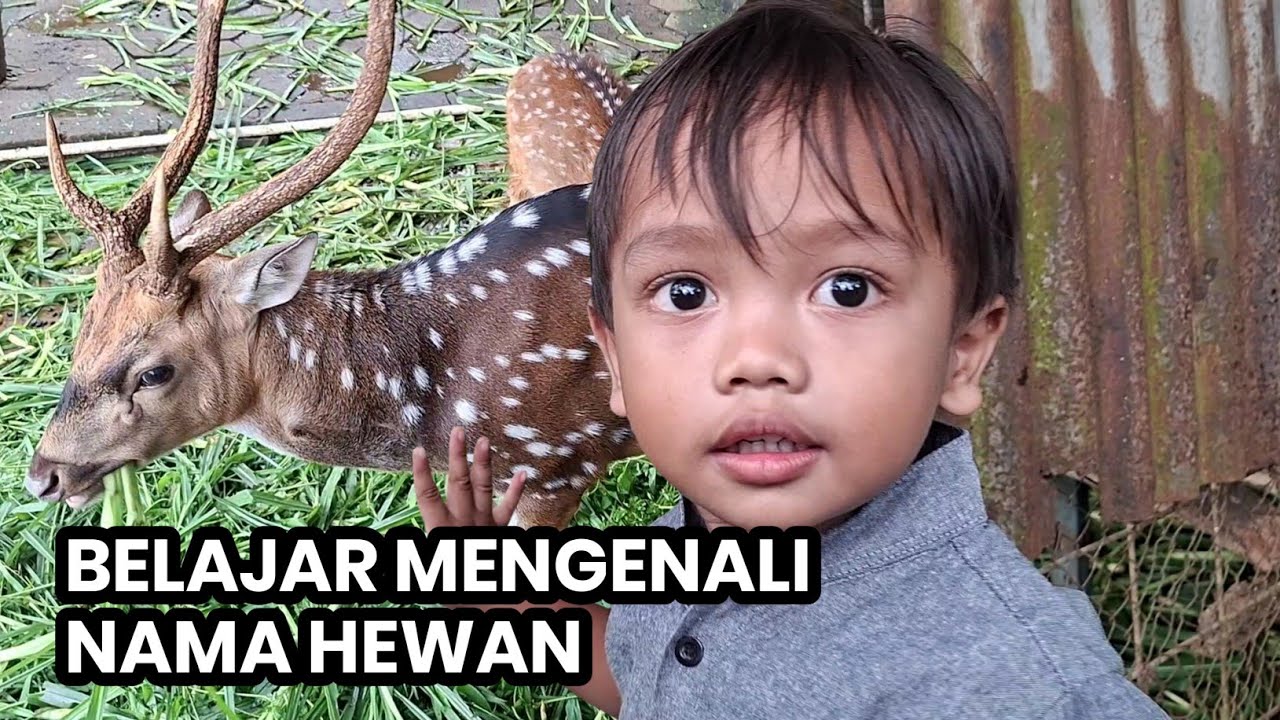 Aku Bermain diKebun Binatang Waroeng Keboen Iboe