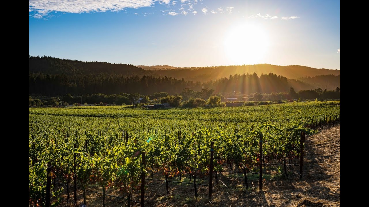 Donum Estate's Savoy Vineyard Achieves Regenerative Organic Certified® Status