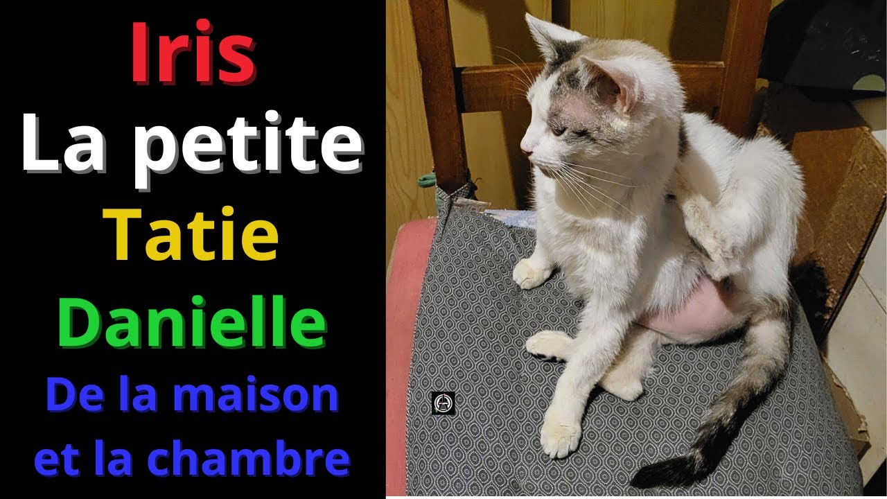 Iris la tatie Danielle de la maison !
