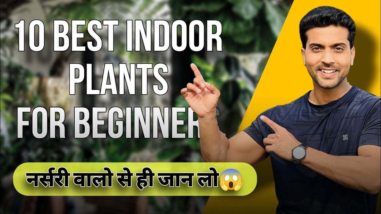 Beginners Guide to Indoor Plants | Fertilizer & Care Explained🌱