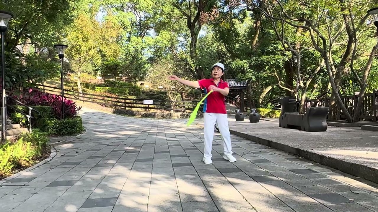 柔樂球 真的不容易 改編丁宥誠柔力 115.2.3