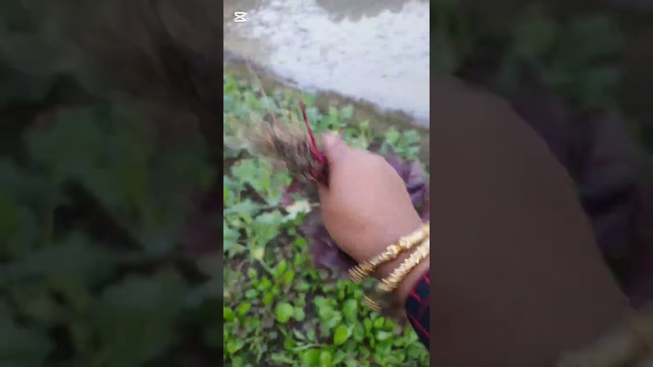 নতুন প্রধানমন্ত্রী আসছে