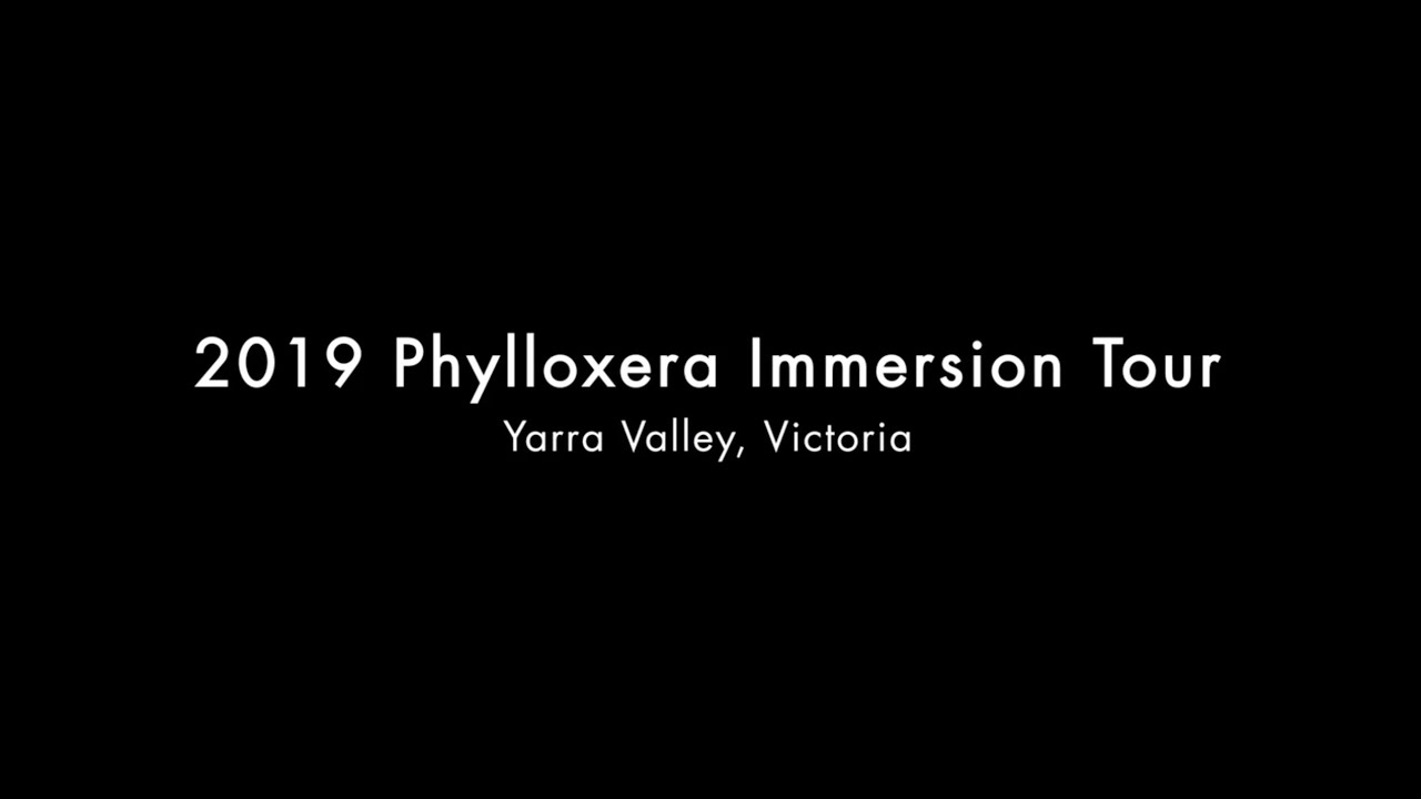 2019 Yarra Valley Phylloxera Immersion Tour