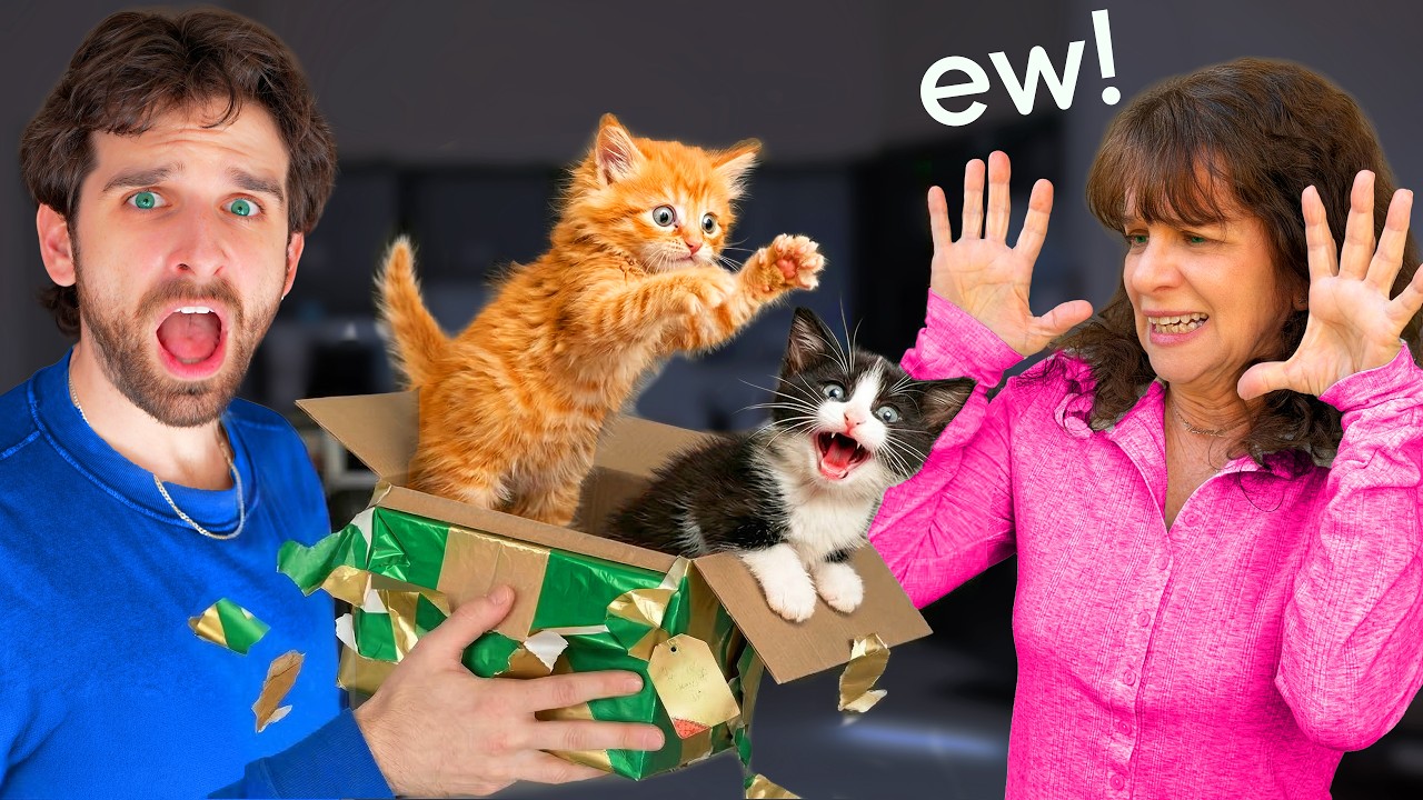I GAVE AWAY 2 of My KITTENS to My MOM (bad idea...)