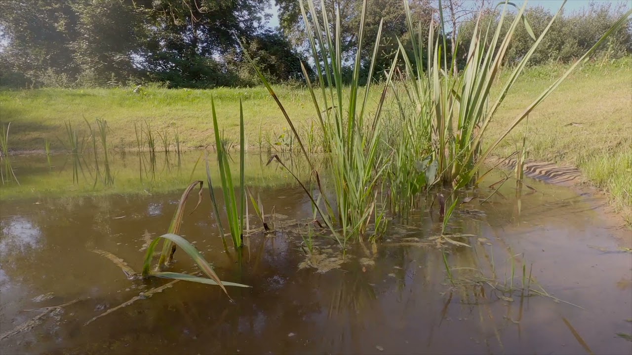 USAN  Aménagement des berges de la Grande Becque