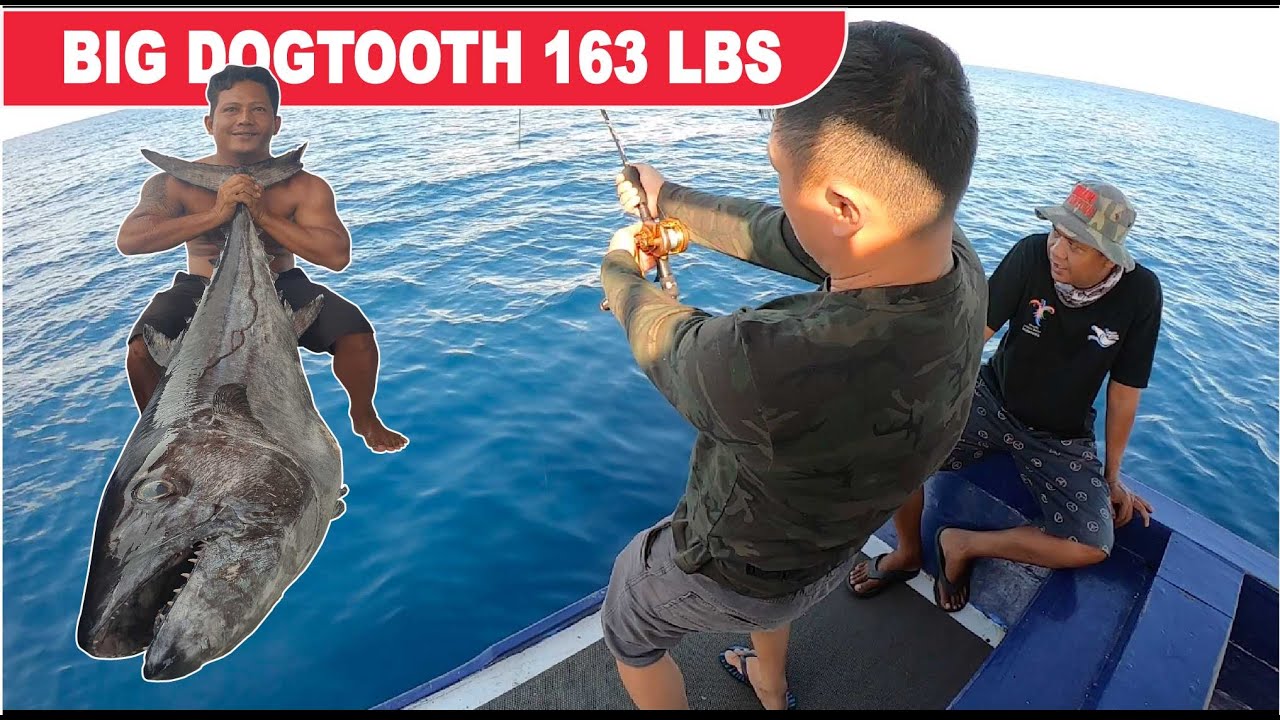 SLOW JIGGING BIG DOGTOOTH TUNA 163 LBS WITH ANGLER SURABAYA | KM SAMSON | SAMSON FISHING CHARTER
